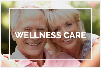 Chiropractic Lakeville MN Wellness Care